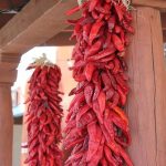 New Mexico Chili Peppers