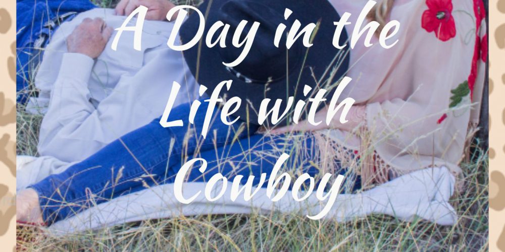 A Day in the Life with Cowboy